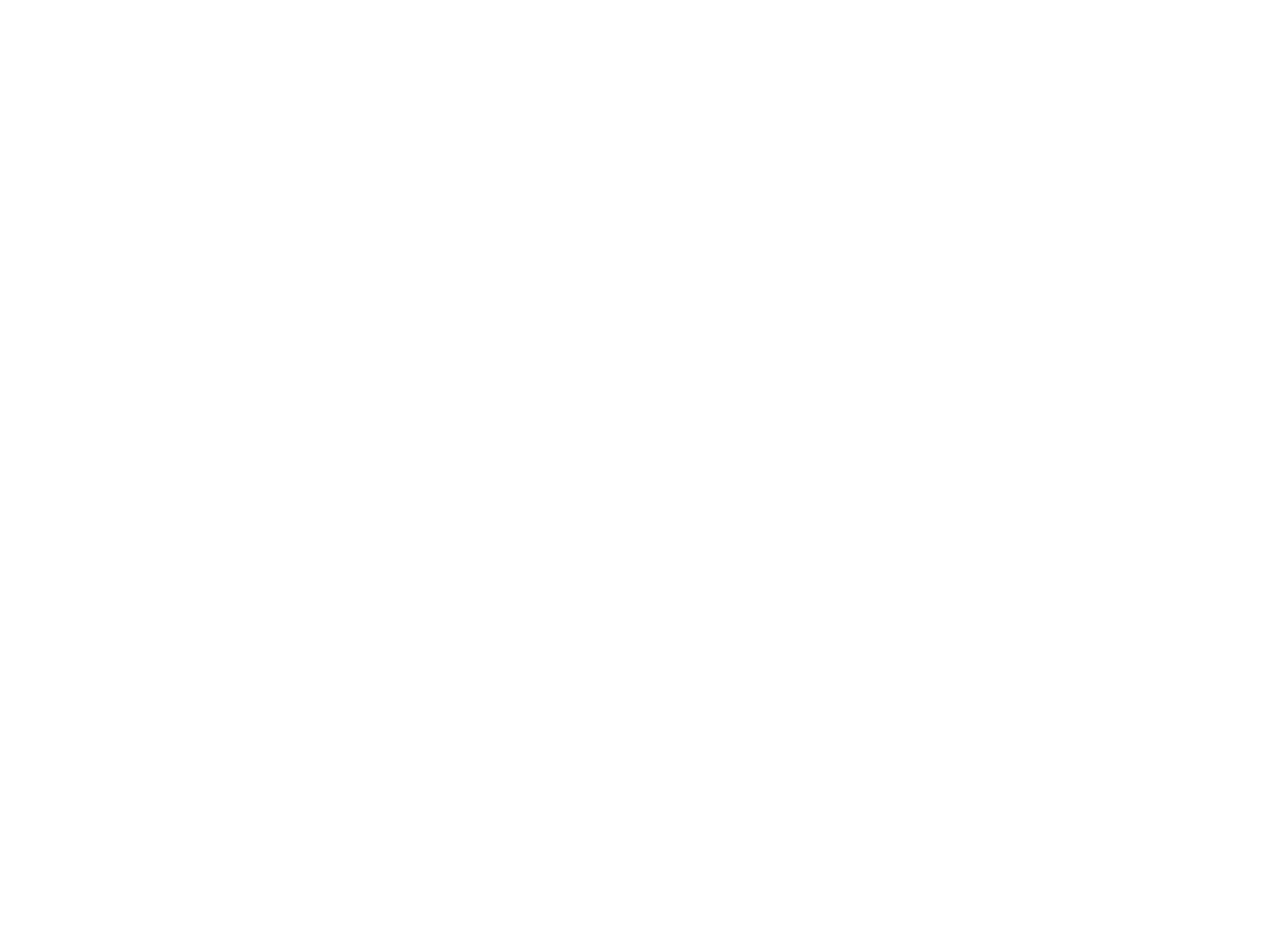 Logo meritum bijeli outline